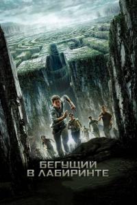 Фильм Бегущий в лабиринте (2014) скачать торрент