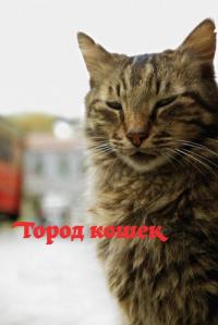 Фильм Город кошек (2016) скачать торрент