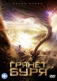 Фильм Грянет буря (2011) скачать торрент