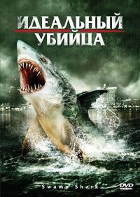 Фильм Идеальный убийца (2011) скачать торрент