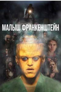 Фильм Малыш Франкенштейн (2018) скачать торрент