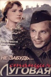 Фильм Не забудь... станция Луговая (1966) скачать торрент