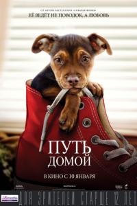 Фильм Путь домой (2019) скачать торрент