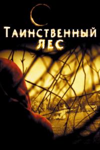 Фильм Таинственный лес (2004) скачать торрент