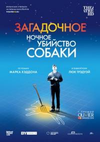 Фильм Загадочное ночное убийство собаки (2012) скачать торрент