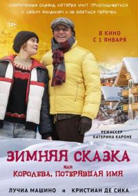 Фильм Зимняя сказка, или Королева, потерявшая имя (2016) скачать торрент