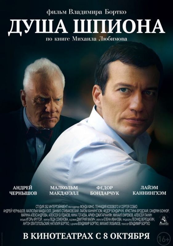 Фильм  Душа шпиона (2014) скачать торрент