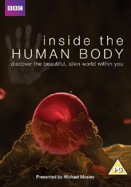 Сериал  Внутри человеческого тела (2011) скачать торрент