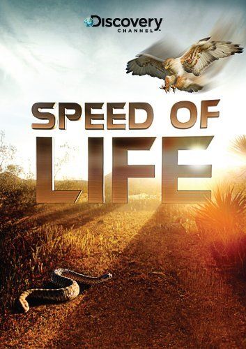 Сериал  Discovery: Скорость жизни (2010) скачать торрент