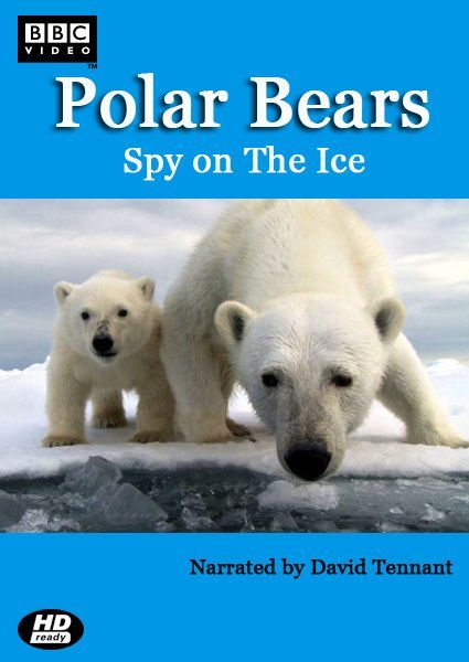 Белый медведь: Шпион во льдах (WEB-DL) торрент скачать