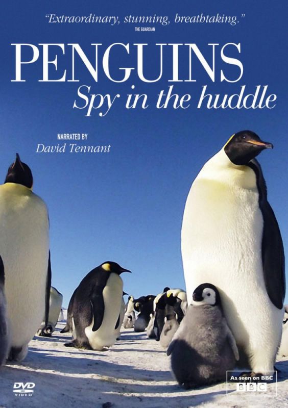 Пингвины: Шпион в толпе (WEB-DL) торрент скачать