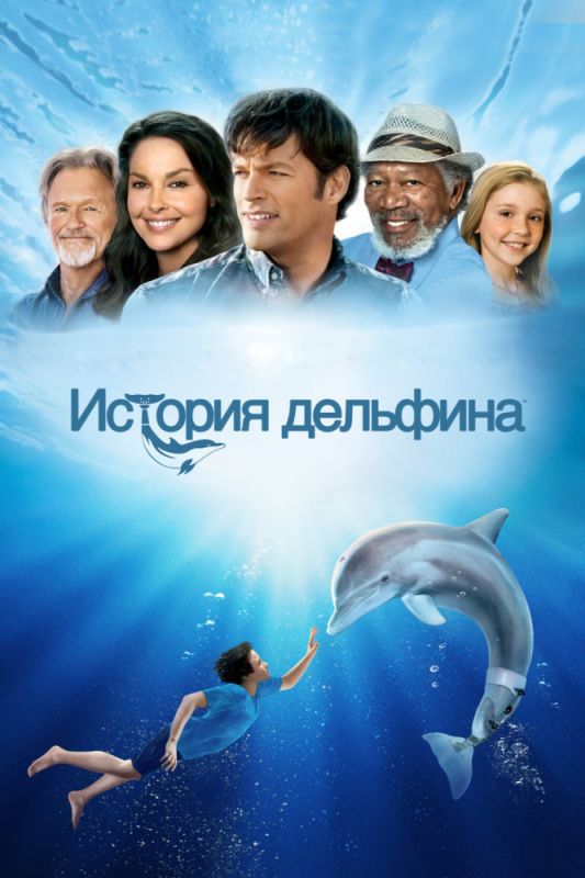 Фильм  История дельфина (2011) скачать торрент