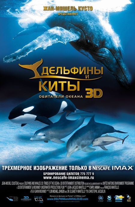 Фильм  Дельфины и киты 3D (2008) скачать торрент