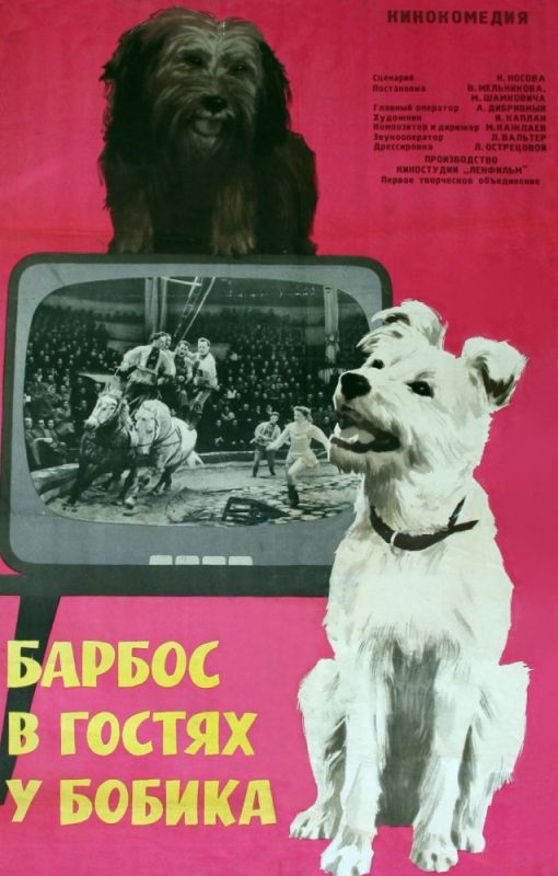 Фильм  Барбос в гостях у Бобика (1964) скачать торрент
