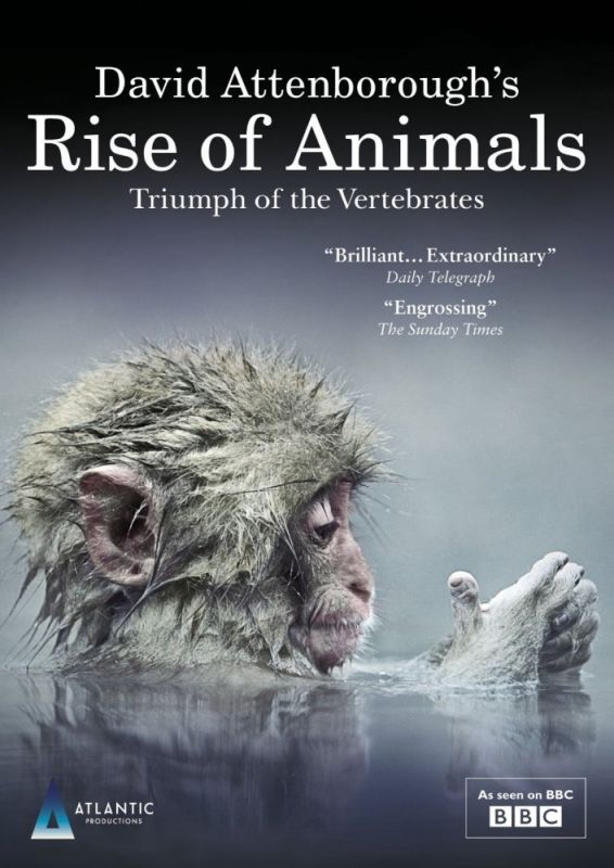 Сериал  Восстание животных: Триумф позвоночных (2013) скачать торрент