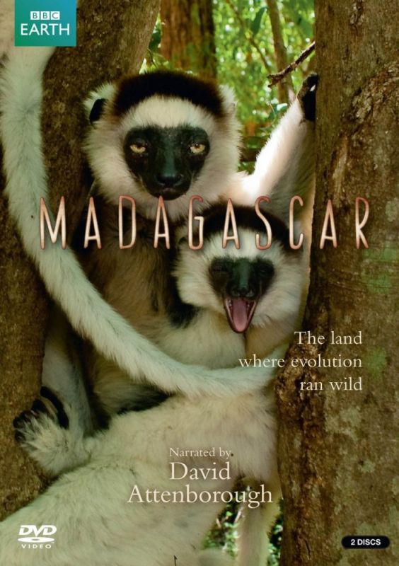 BBC: Мадагаскар (WEB-DL) торрент скачать