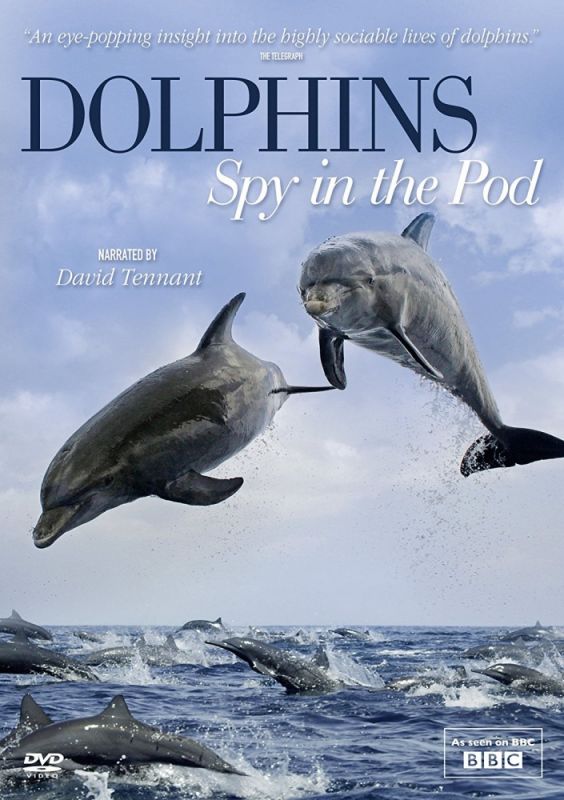Сериал  Дельфины скрытой камерой (2014) скачать торрент
