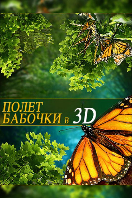 Фильм  Полет бабочки 3D (2012) скачать торрент
