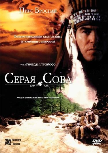 Фильм  Серая сова (1998) скачать торрент