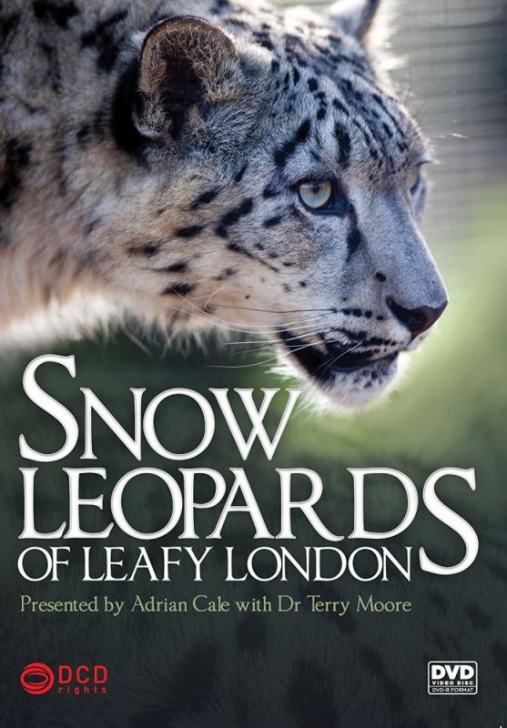 Сериал  Snow Leopards of Leafy London (2013) скачать торрент