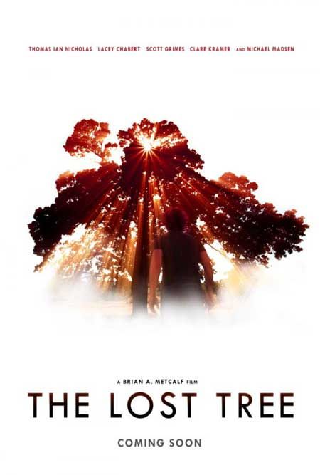 Фильм  Потерянное дерево (2016) скачать торрент
