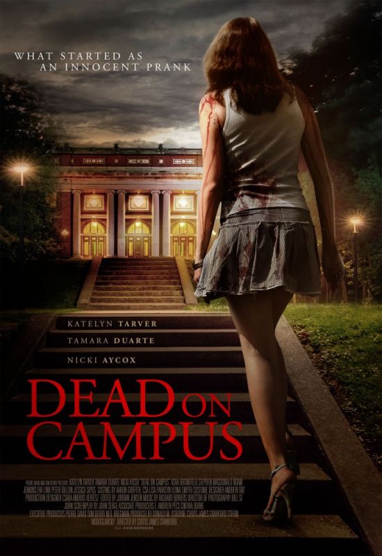 Фильм  Смерть в колледже (2014) скачать торрент