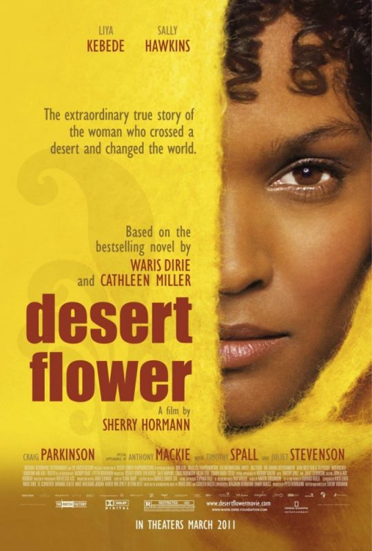 Фильм  Цветок пустыни (2009) скачать торрент