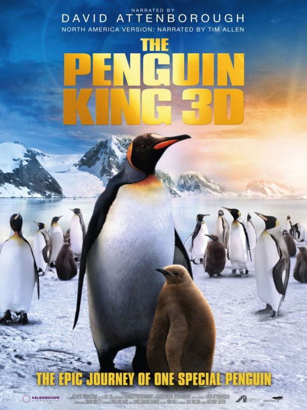 Фильм  Король пингвинов (2012) скачать торрент