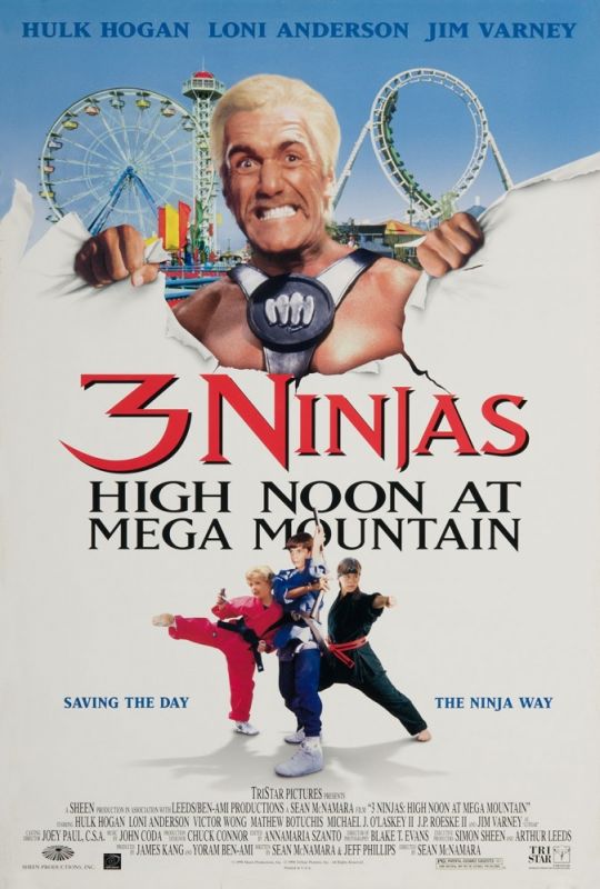 Фильм  Три ниндзя: Жаркий полдень на горе Мега (1998) скачать торрент