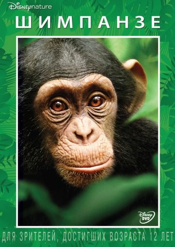 Шимпанзе (BluRay) торрент скачать