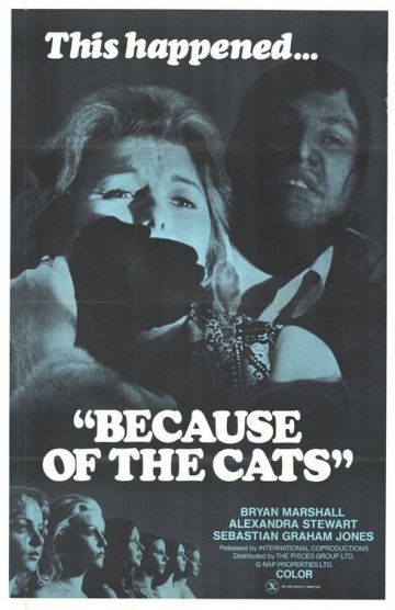 Фильм  Из-за кошек (1973) скачать торрент
