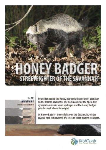 Ultimate Honey Badger (HDTV) торрент скачать