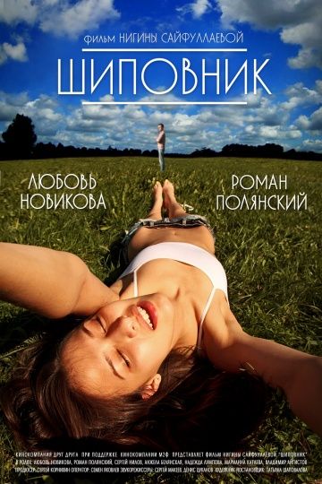 Фильм  Шиповник (2011) скачать торрент