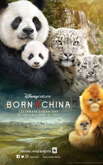 Рожденные в Китае (BluRay) торрент скачать