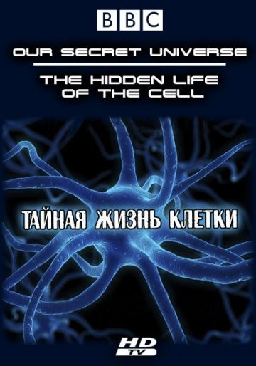 Фильм  Внутренняя вселенная: Тайная жизнь клетки (2012) скачать торрент