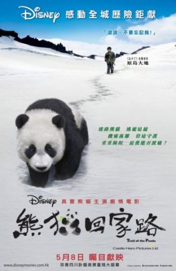 Фильм  След панды (2009) скачать торрент