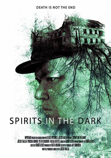 Spirits in the Dark (WEB-DL) торрент скачать