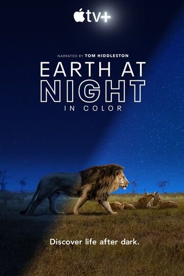 Сериал  Земля ночью в цвете (2020) скачать торрент