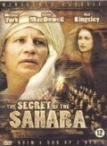 Сериал  Секрет Сахары (1987) скачать торрент