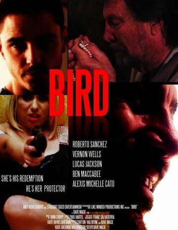 Фильм  Bird (2020) скачать торрент