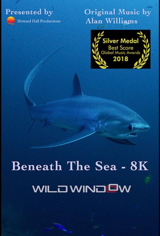 Фильм  Wild Window: Beneath the Sea (2018) скачать торрент