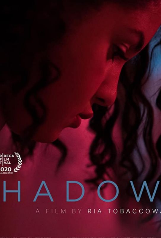 Фильм  Shadows (2020) скачать торрент
