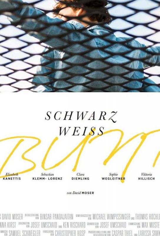 Фильм  Schwarz Weiss Bunt (2020) скачать торрент