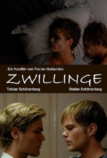 Фильм  Zwillinge (2010) скачать торрент