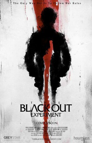 Фильм  The Blackout Experiment (2014) скачать торрент