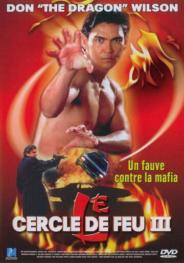 Фильм  Огненное кольцо 3: Удар льва (1994) скачать торрент