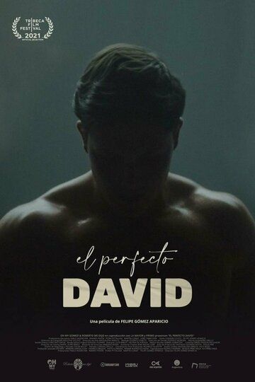Фильм  El perfecto David (2021) скачать торрент