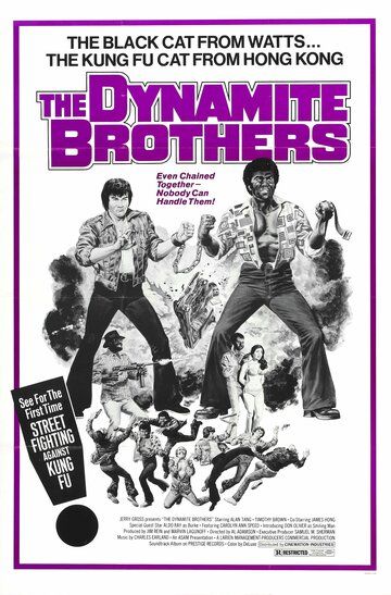 Фильм  Dynamite Brothers (1974) скачать торрент