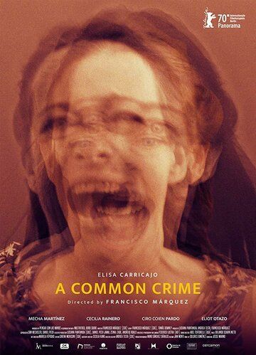 Фильм  Un crimen común (2020) скачать торрент