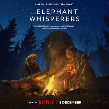 Фильм  Заклинатели слонов (2022) скачать торрент